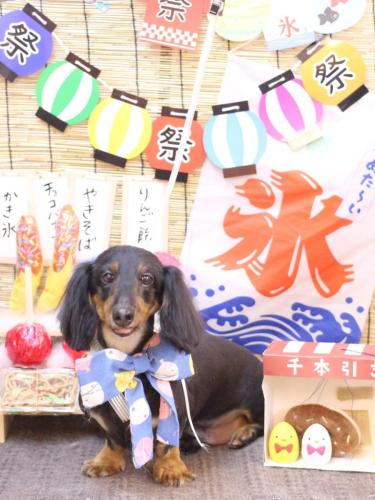 20240724オレンジくん